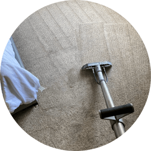 Carpet Cleaning Services