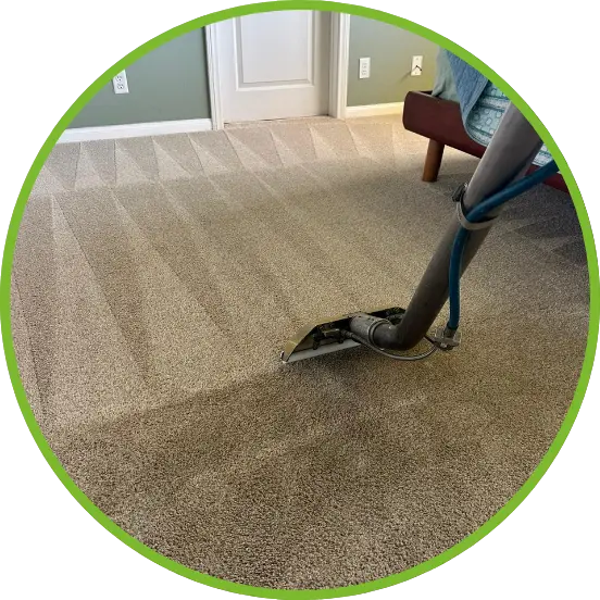 Professional Carpet Cleaner