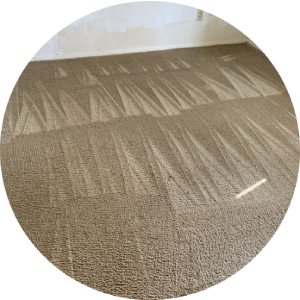 Professional Carpet Cleaning